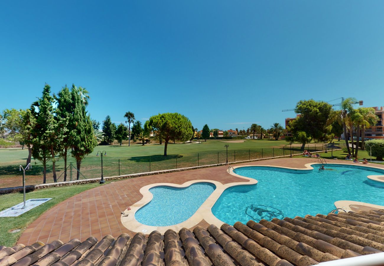 Estudio en Oliva - Barbara Karst by ON Travel