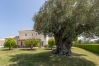 Villa en Oliva - Villa Panorama 