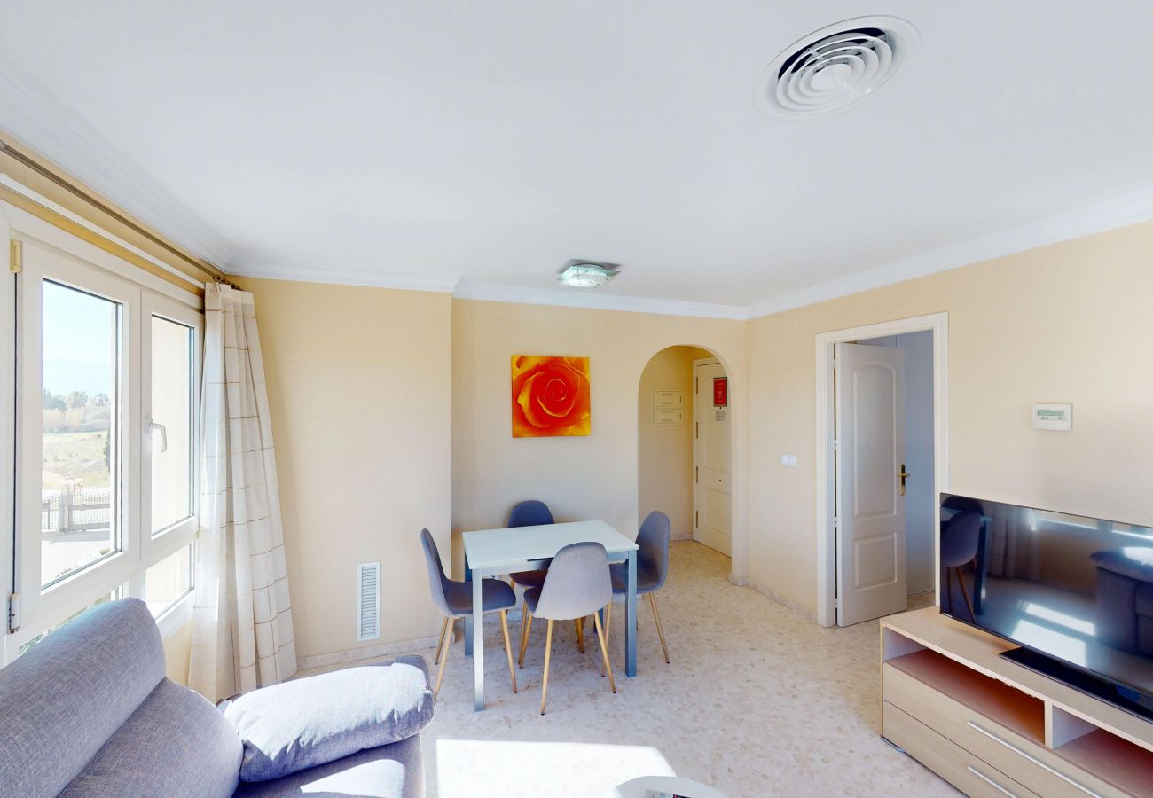Ferienwohnung in Oliva - Camellia by ON Travel