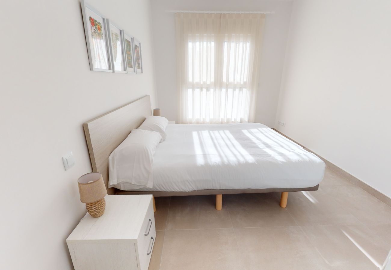 Apartment in Oliva - Palmetto by ON Travel