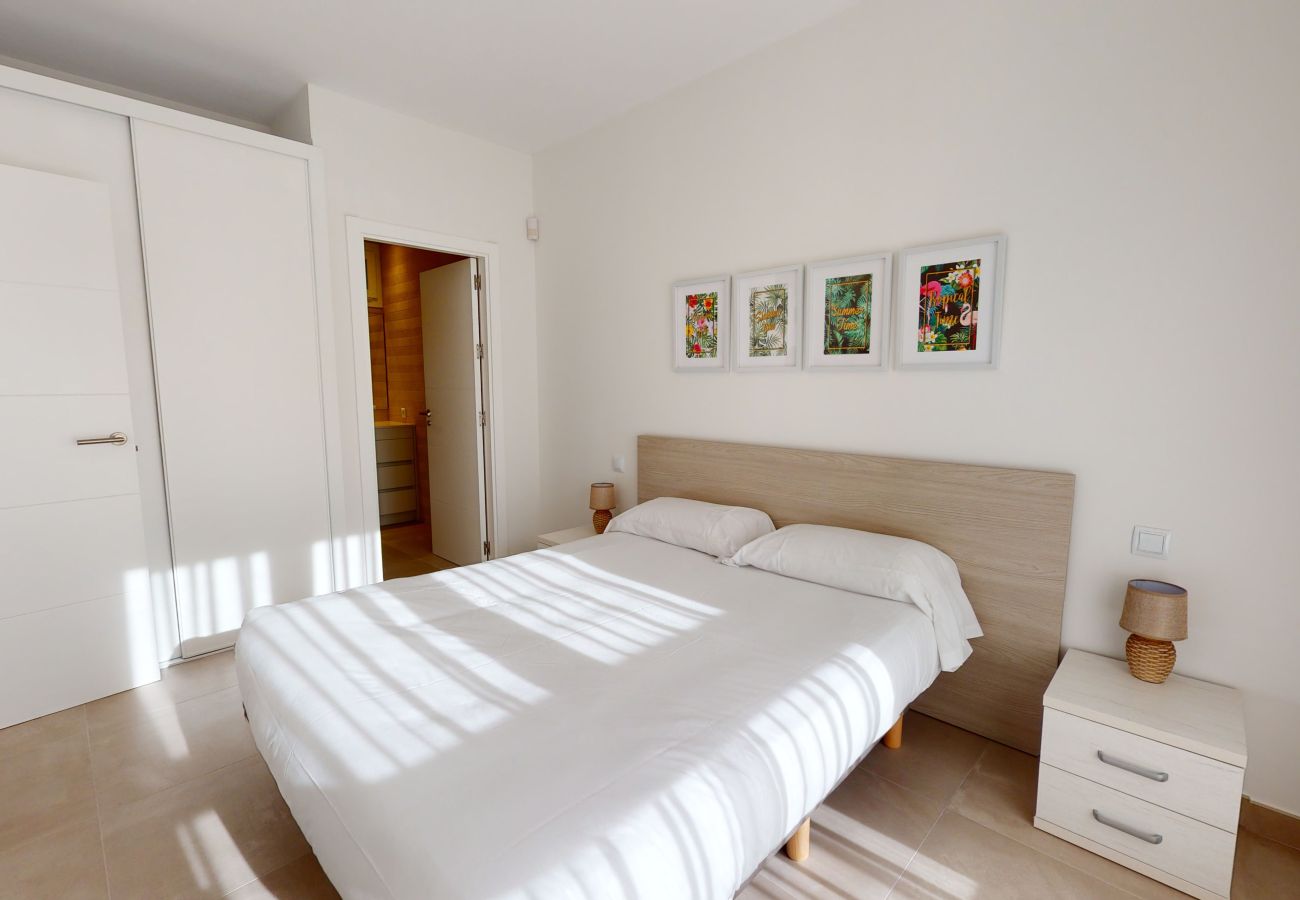 Apartment in Oliva - Palmetto by ON Travel