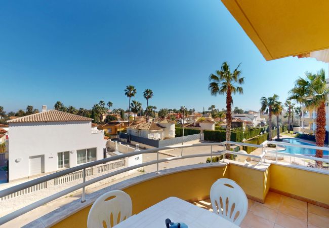 Apartment in Oliva - Camellia by ON Travel