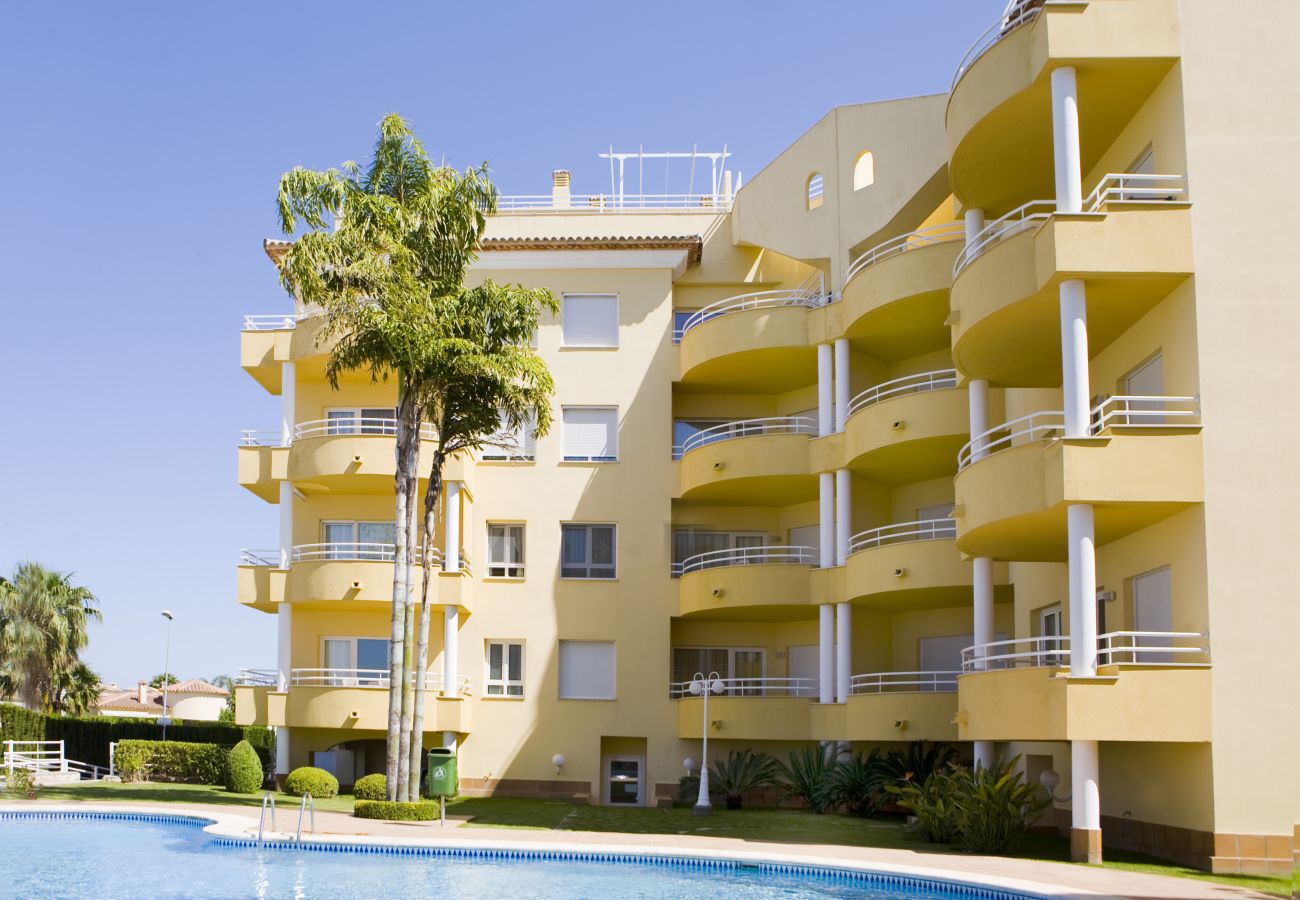 Apartment in Oliva - Camellia by ON Travel