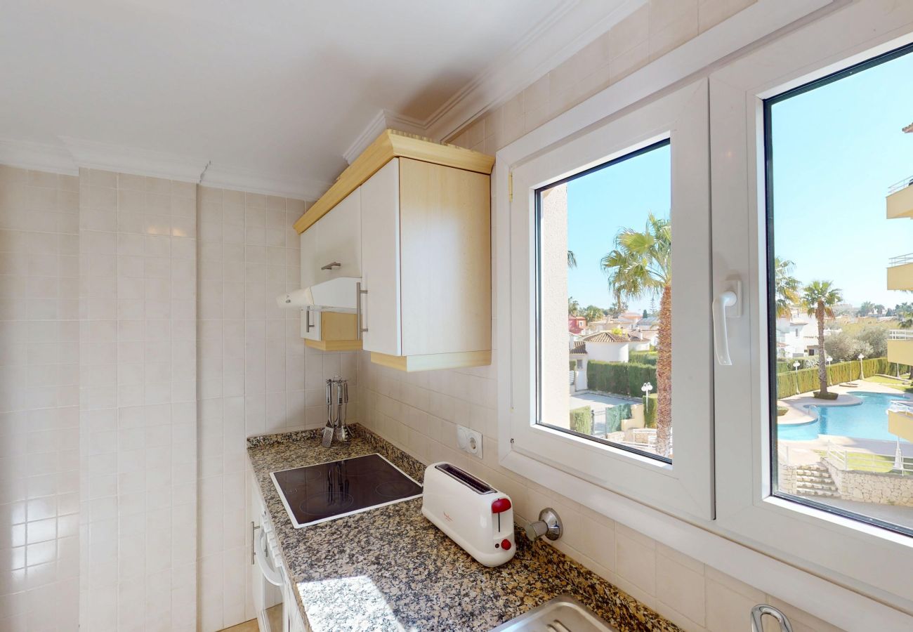 Apartment in Oliva - Camellia by ON Travel