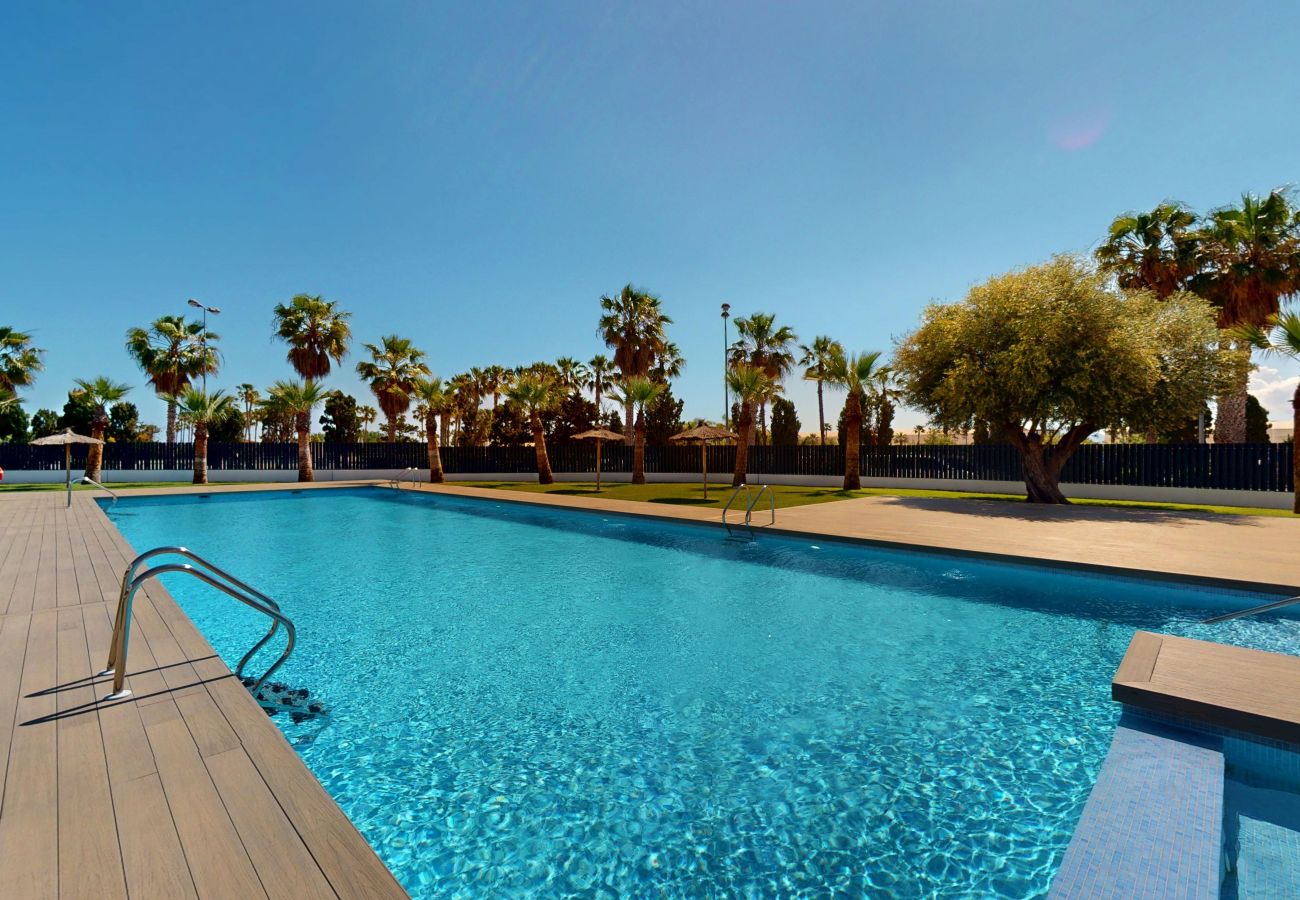 Apartment in Oliva - Seris by ON Travel