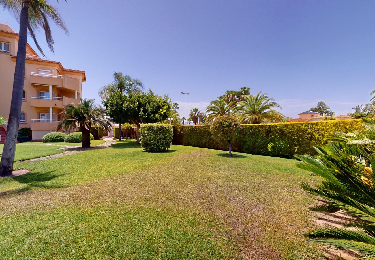 Apartment in Oliva - Eagle by ON Travel